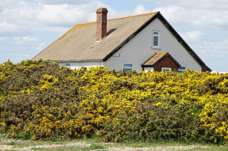 wkłady kominowe rodzaje