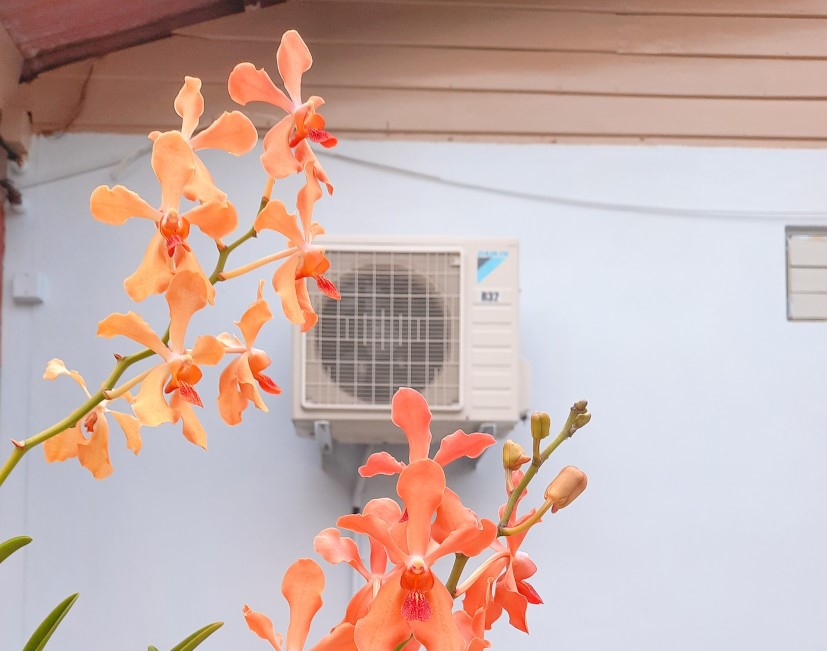 montaż klimatyzacji w domu jednorodzinnym poznań